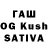 Каннабис White Widow Baktygul Aidyralieva