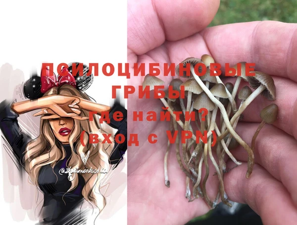 мескалин Баксан